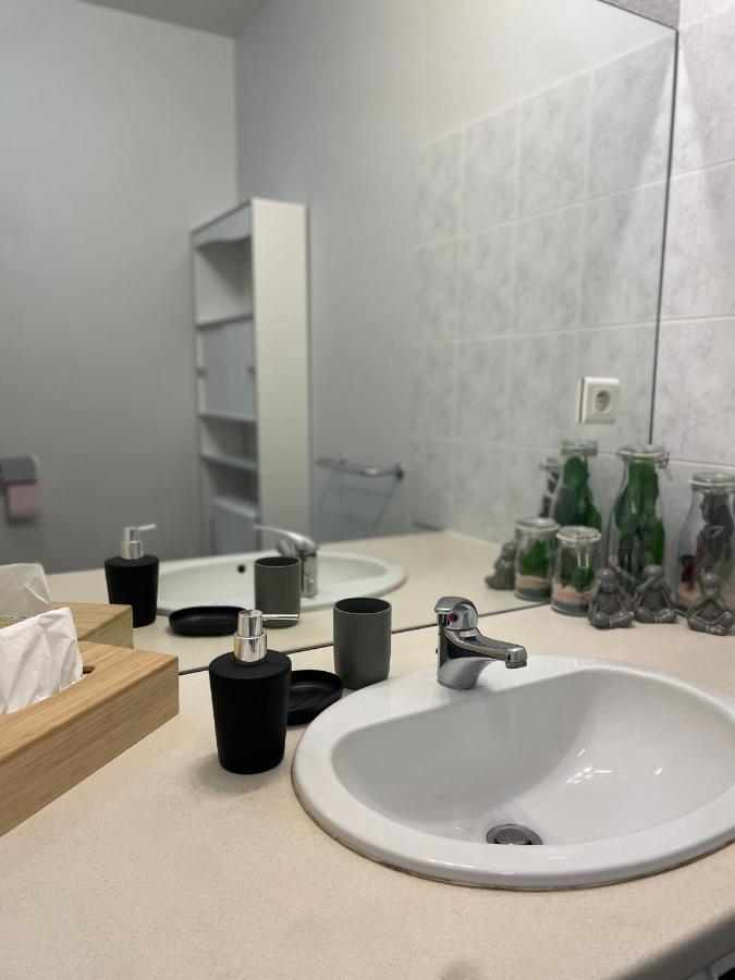 Appartement Calme Au Coeur De La Ville Lons-le-Saunier Esterno foto