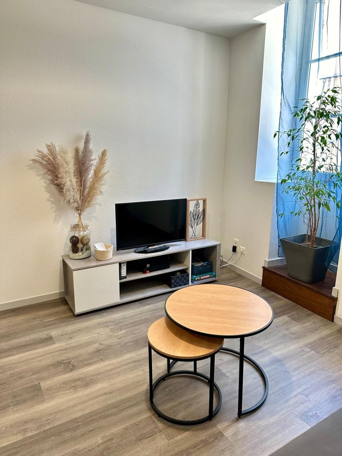Appartement Calme Au Coeur De La Ville Lons-le-Saunier Esterno foto